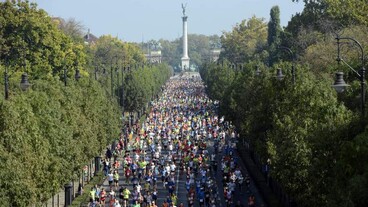 Olimpikonok a hétvégi Budapest Maratonon