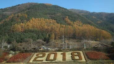 Pjongcsang 2018: bemutatták a sportági piktogramokat