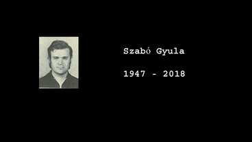 Elhunyt a sportlövő olimpikon Szabó Gyula