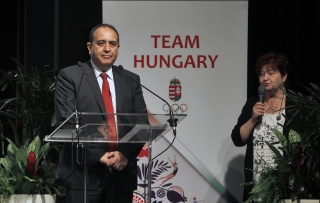 Vilajat Gulijev, Azerbajdzsán magyarországi nagykövete