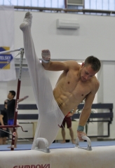 Vágner Levente