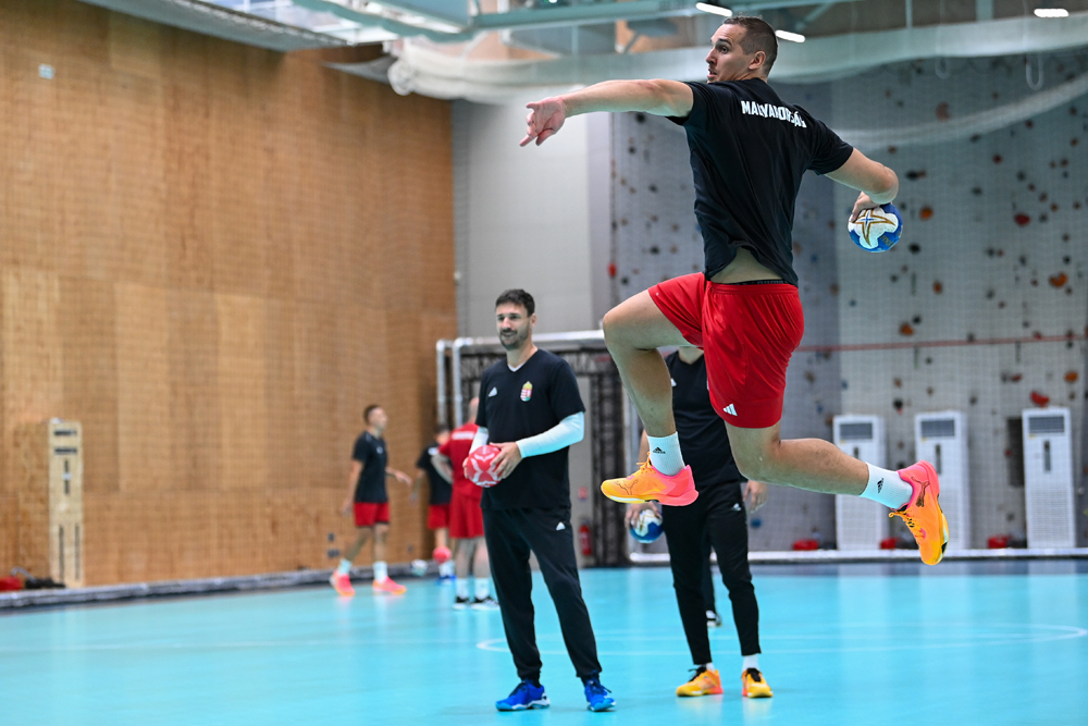 Jókedvű kéziedzés (2024.07.25.)