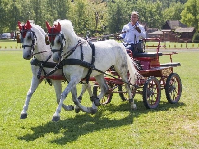 A magyarok az élen a Duna-Alpesi Kupán