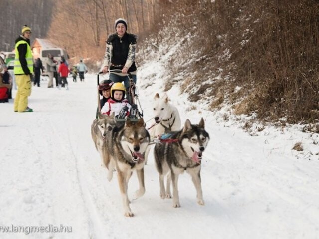 Világesemény része lesz januárban az eplényi Snow Day