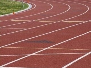 Atléta palánták a Puskás Ferenc  Stadionban.