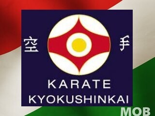 Jól szerepeltek a magyarok a kyokushin karate Eb-n