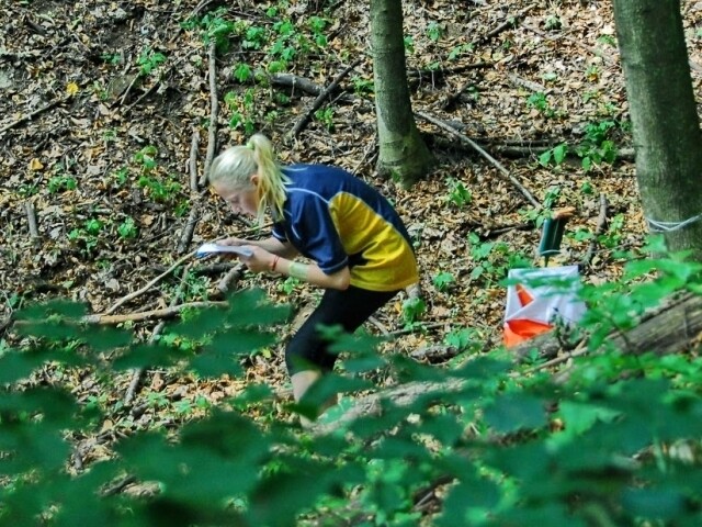 Hungária kupa nemzetközi tájfutó verseny: Sikeres visszatérés a hölgyeknél