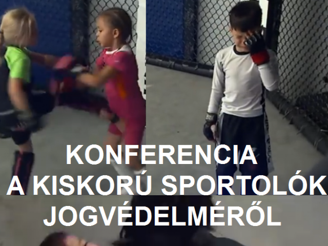 Konferencia a kiskorú sportolók jogvédelméről, Borkai Zsolt védnökségével