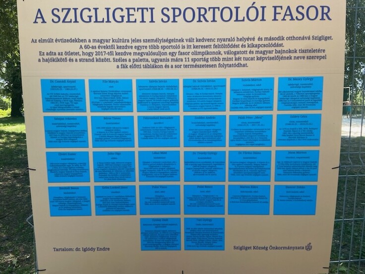 moa_fasor