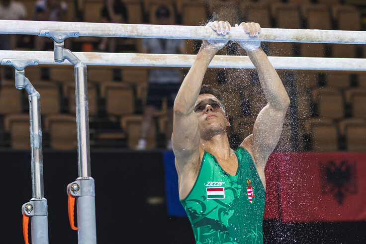 Mészáros Krisztofer