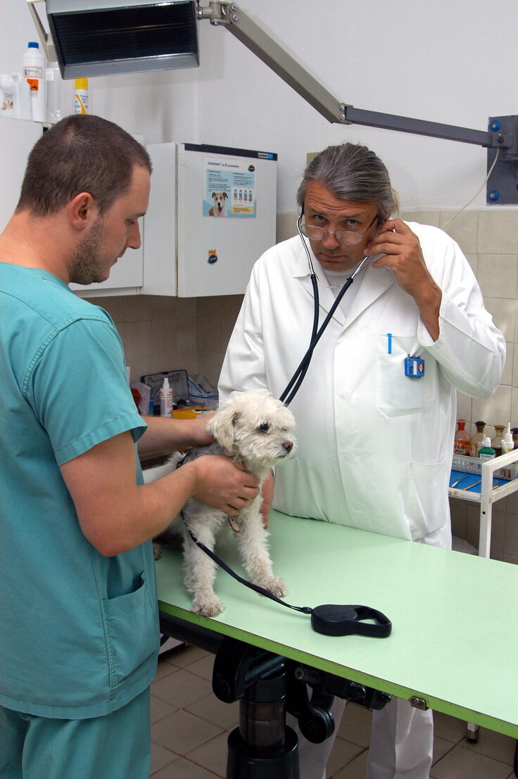 Személy - Hargitay András