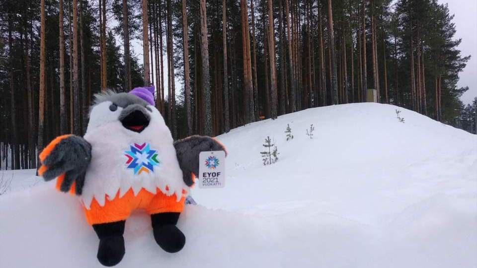 Quukkel, a szibériai madár a vuokatti téli EYOF kabalája.