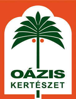 oazis