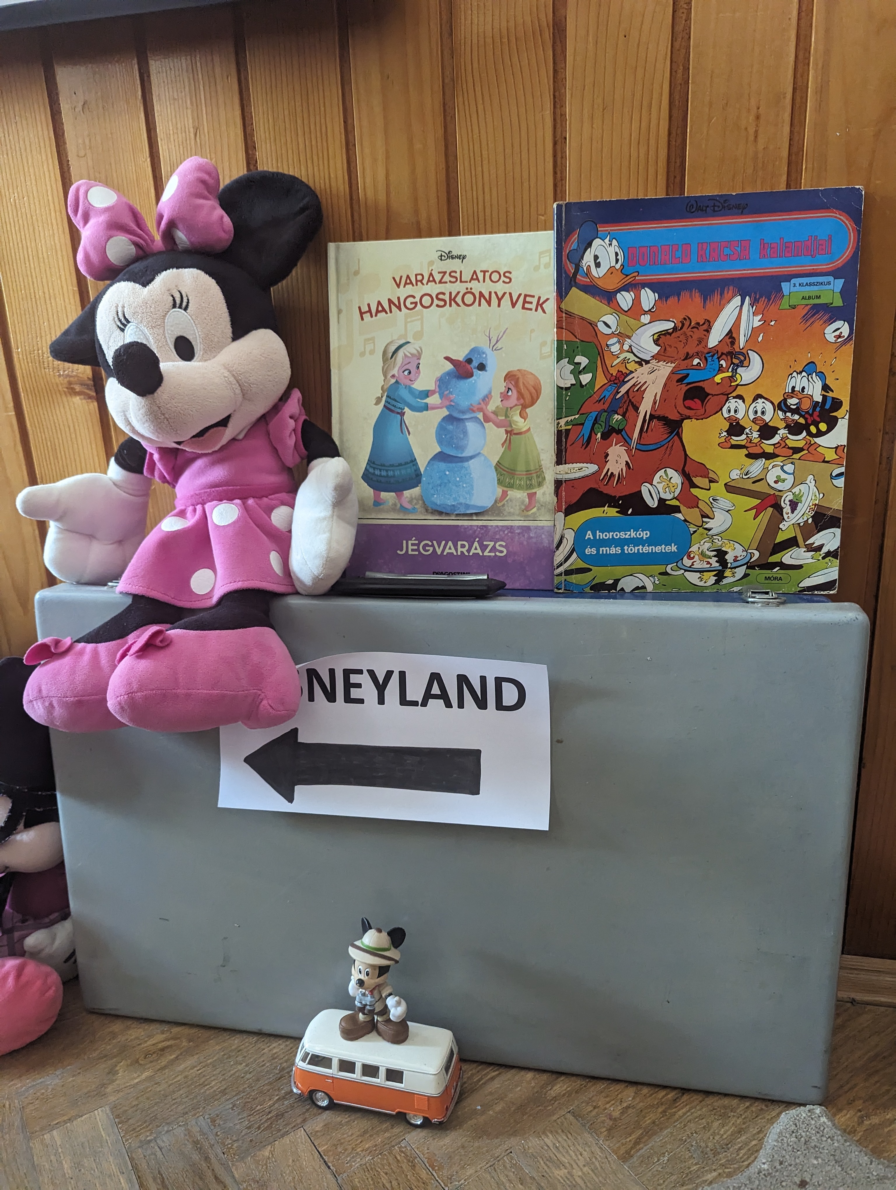 PXL 20240605 080042944