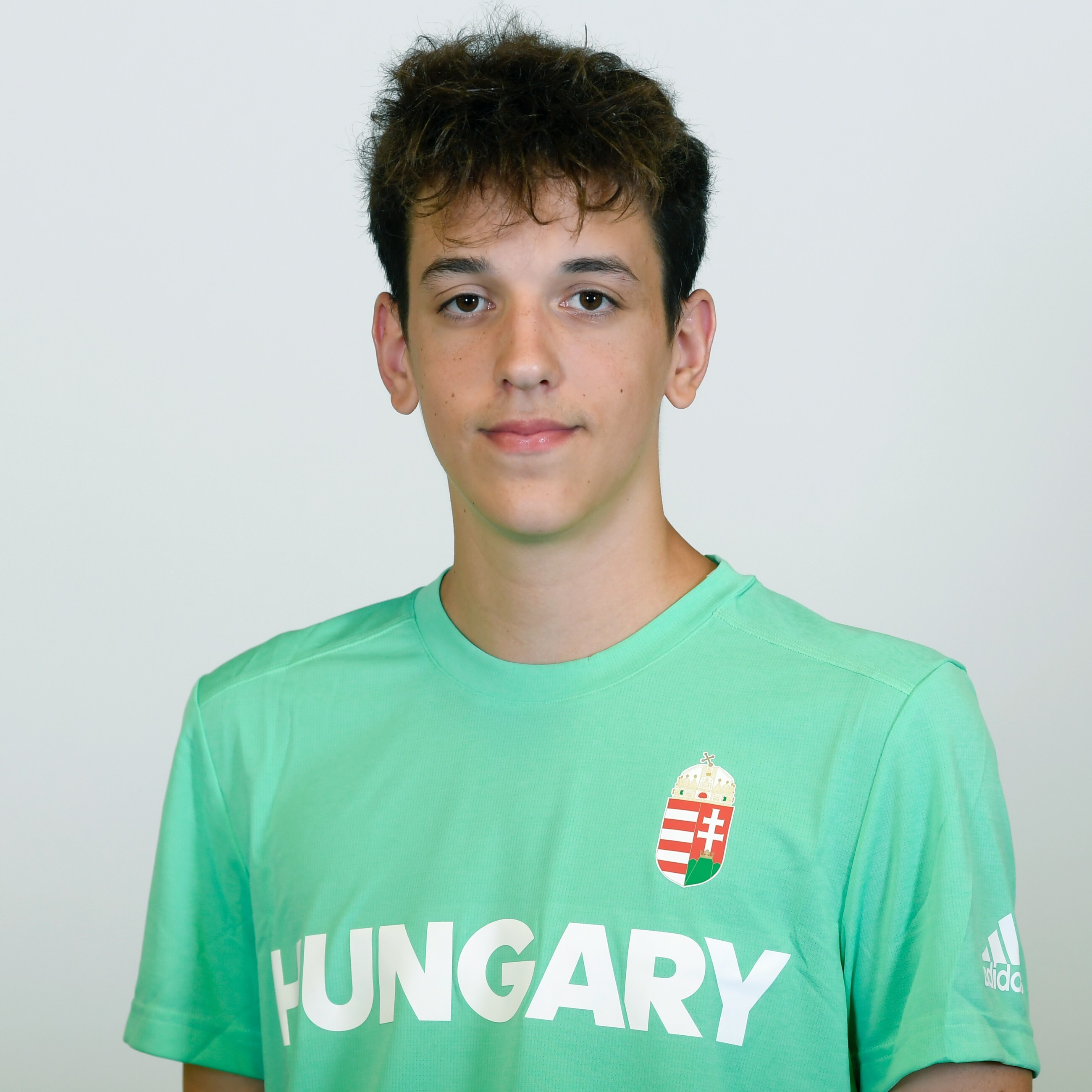 Zanyi-FerdinĂˇnd.jpg