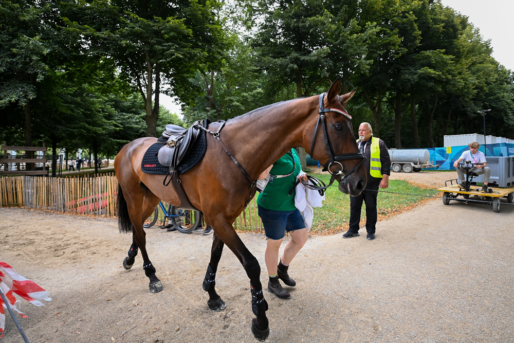 20240726 MA kaizinger balazs lovastusa edzes 028