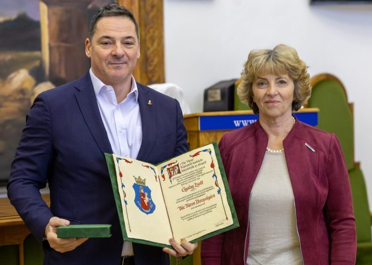 gyulay_zsolt_vac_diszpolgar1