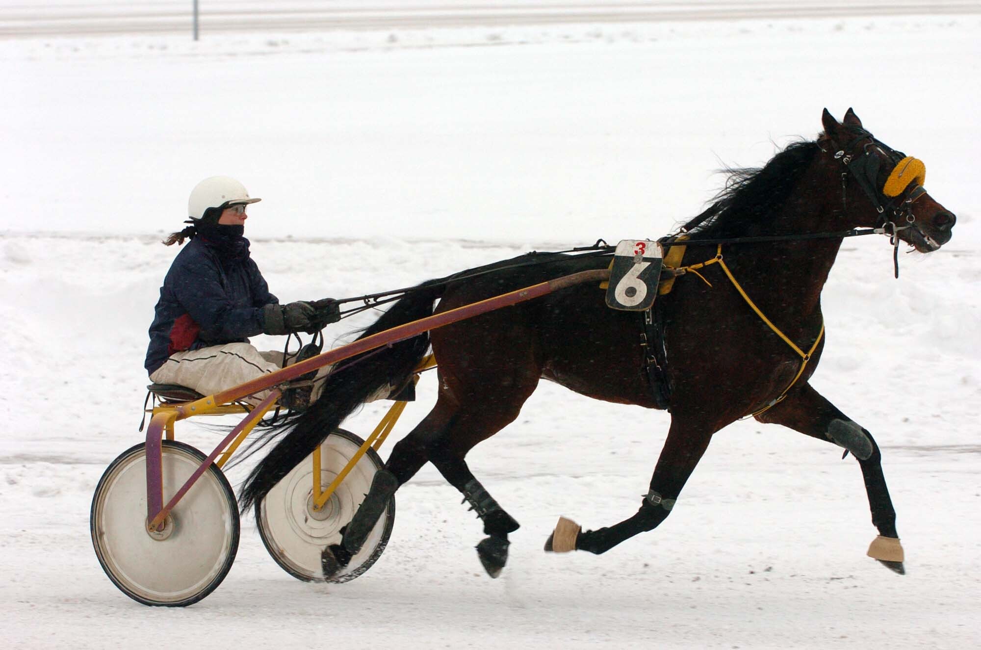 Lovassport - Ügetõszilveszter a Kincsem Parkban