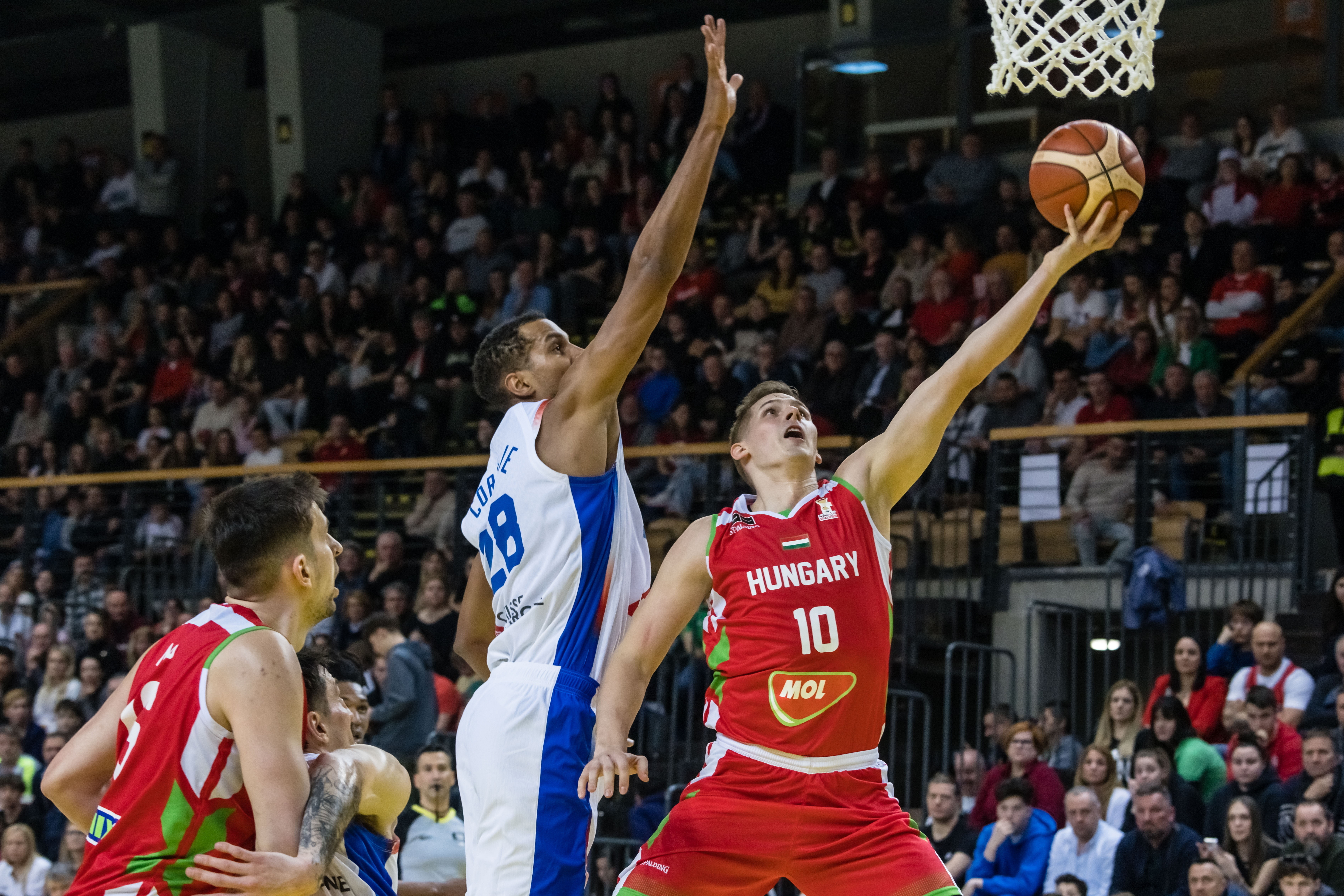 Férfi kosárlabda vb-selejtezõ - Magyarország-Franciaország