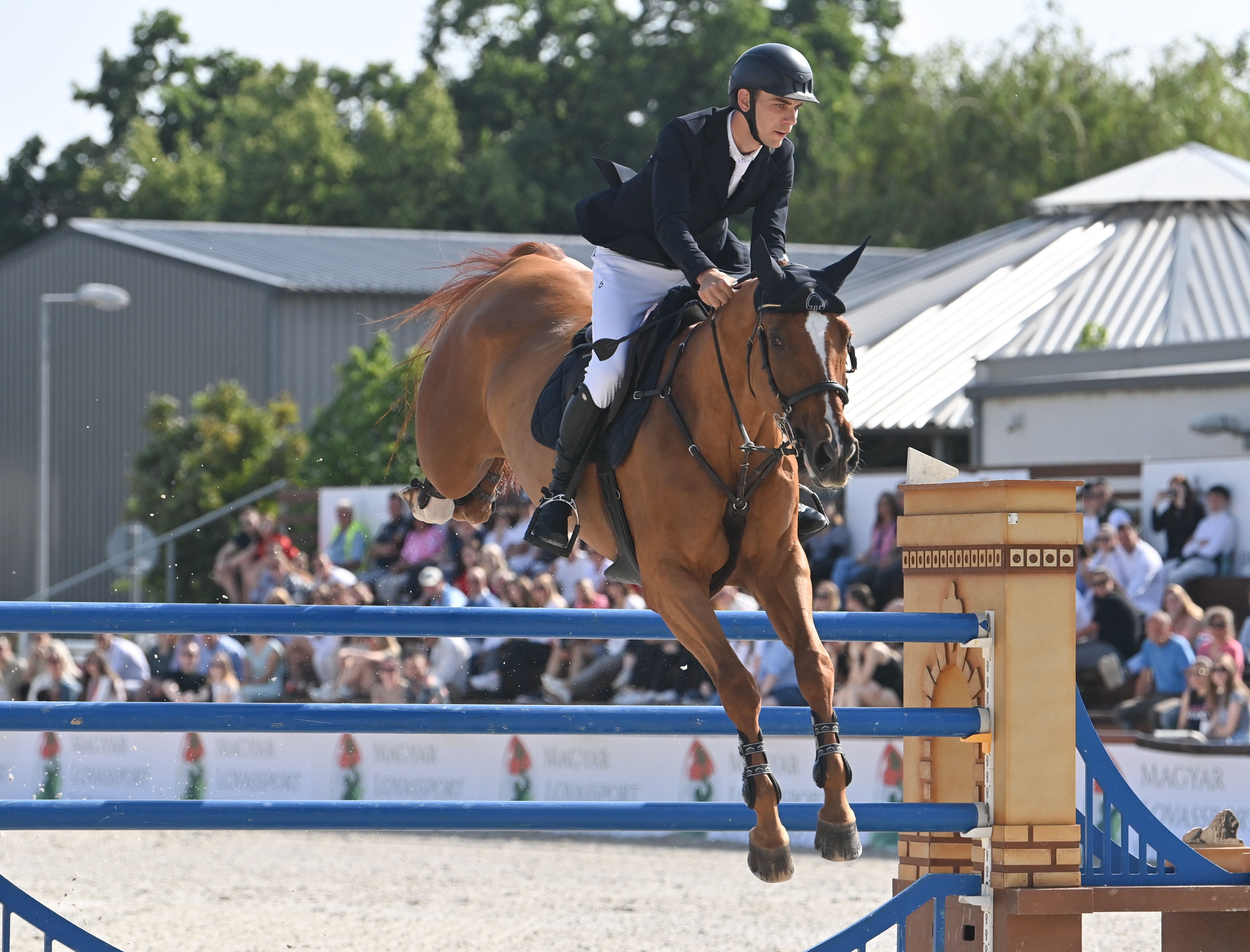 A 37. Gróf Széchenyi István díjugrató emlékverseny