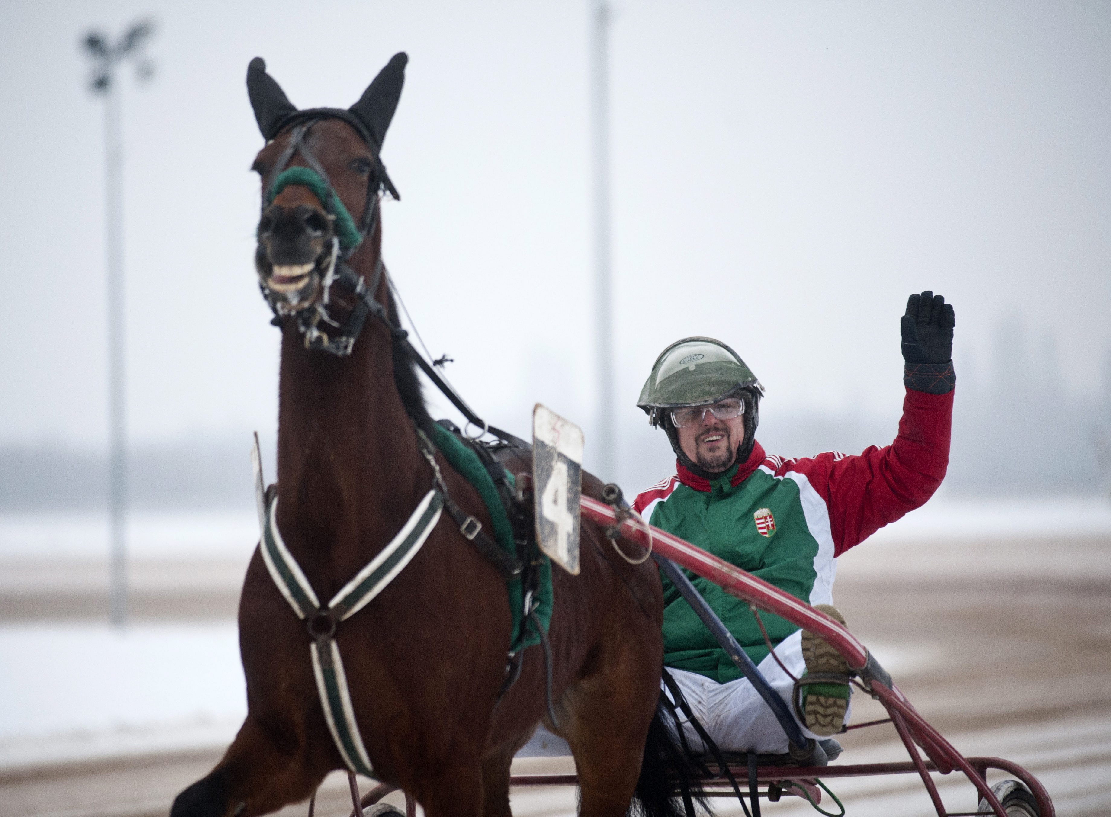 Lósport - Ügetõszilveszter