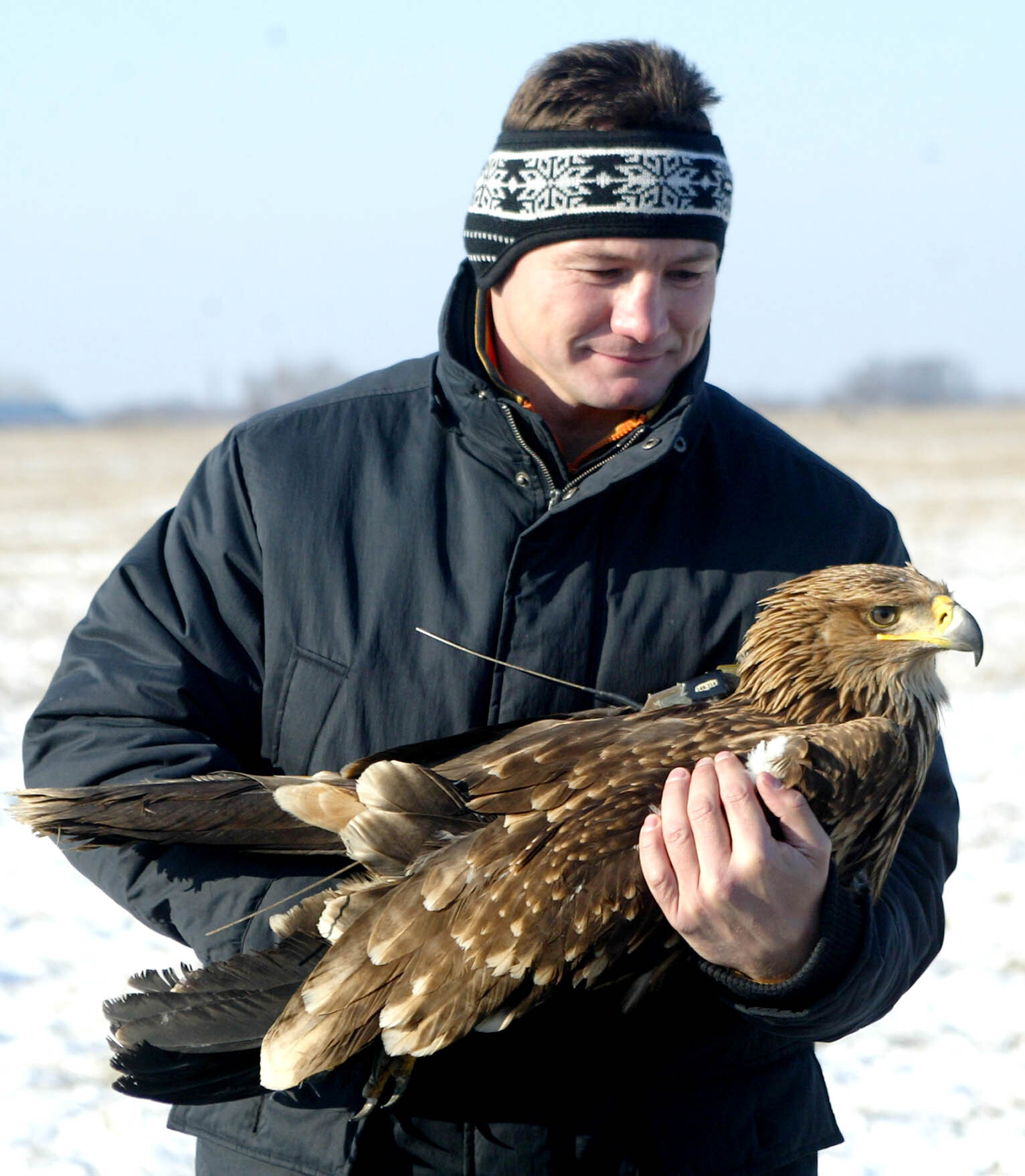 Állatvédelem - Szabadon engednek egy parlagi sast