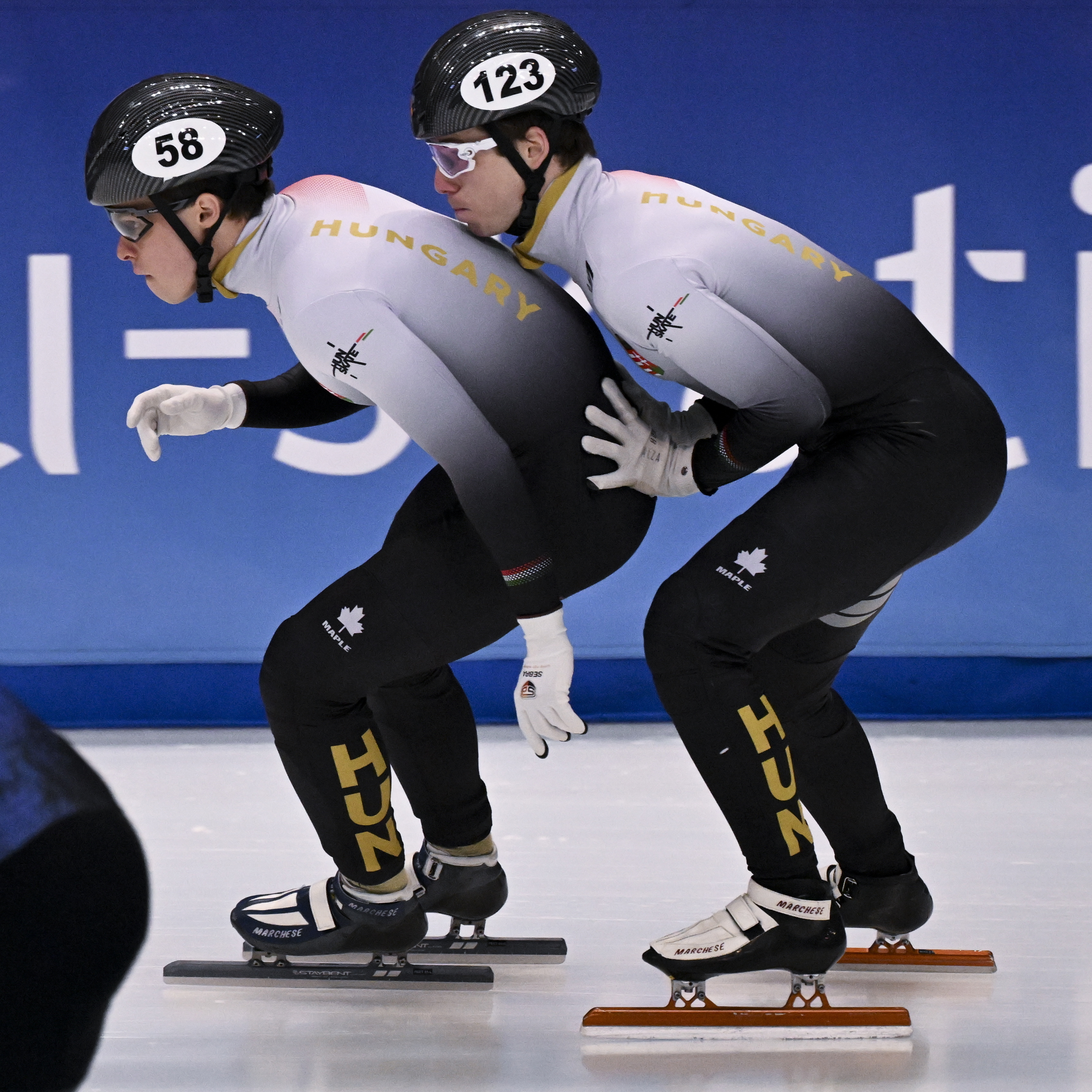 Rövidpályás gyorskorcsolya Eb