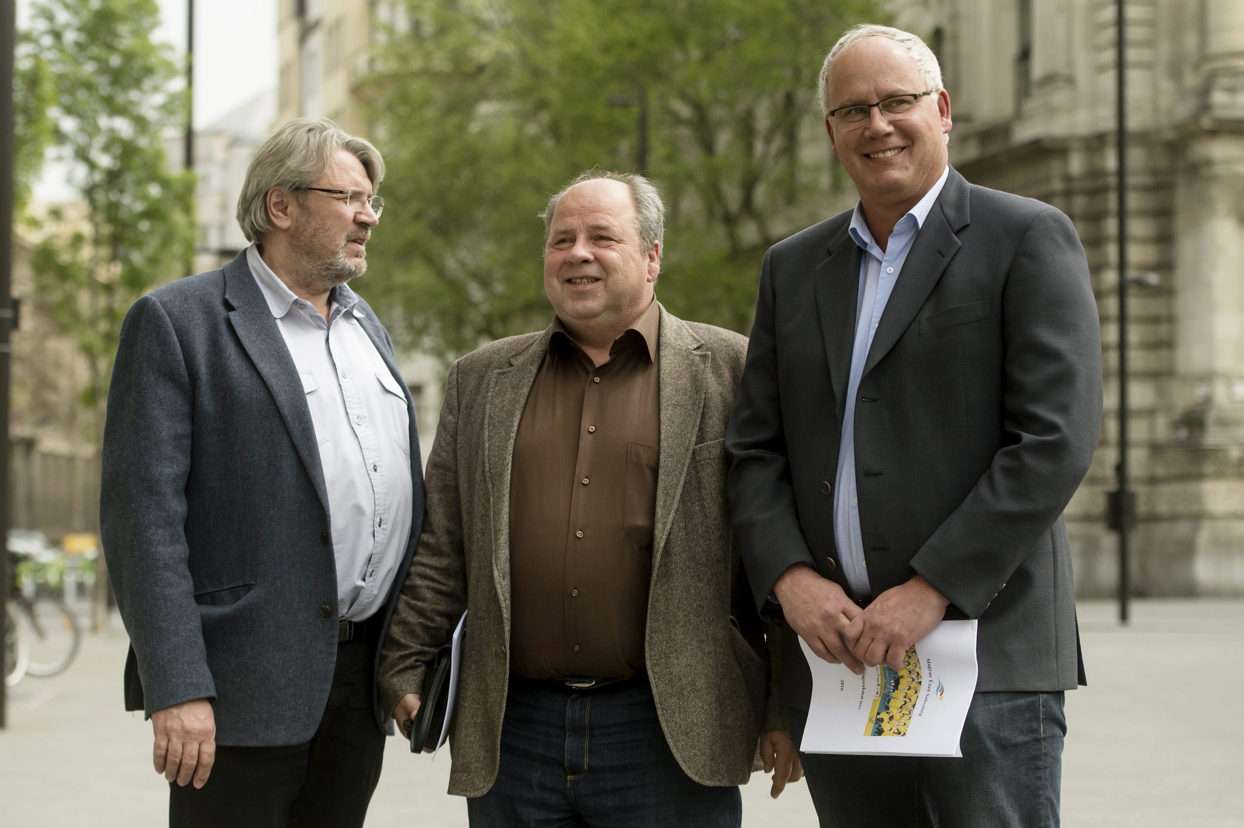 Hargitay András az úszóválogatott új szövetségi kapitány