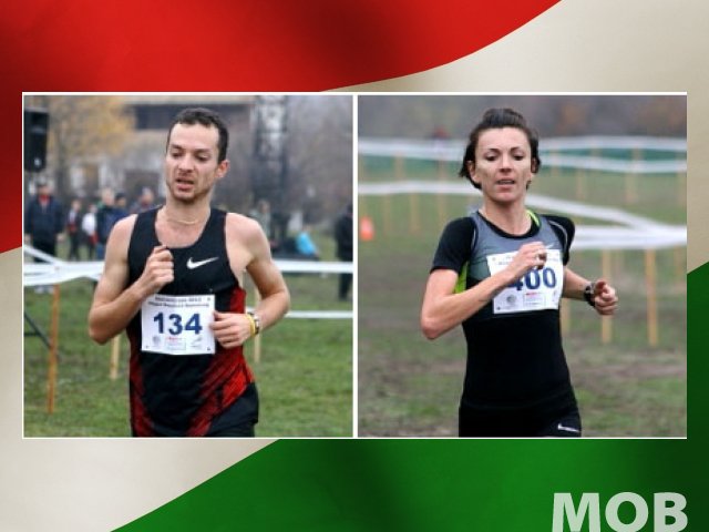 <a href=