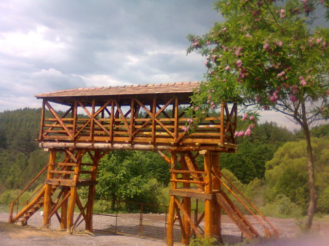 <a href=