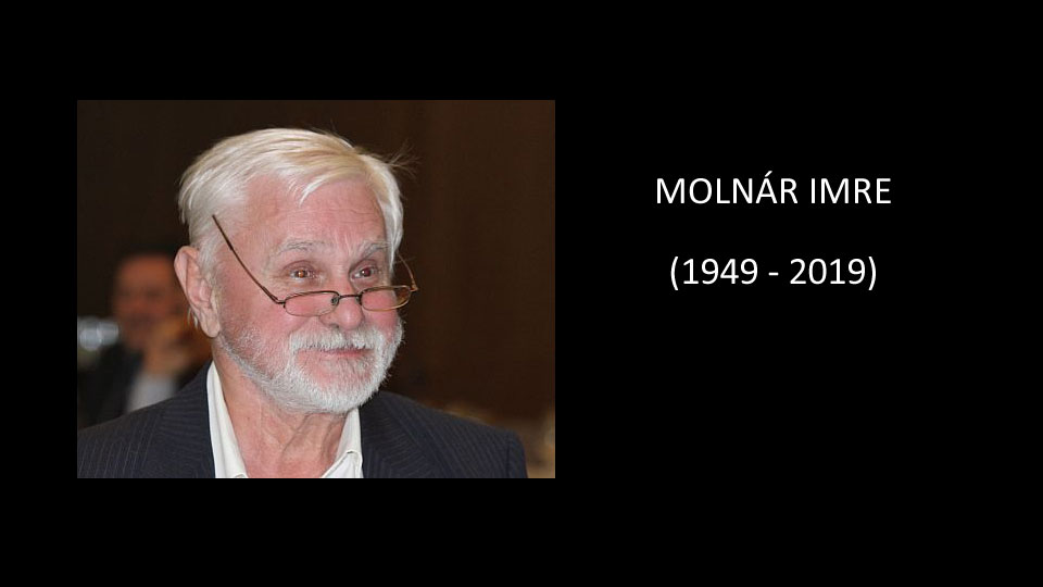 Elhunyt az olimpiai negyedik tornász Molnár Imre